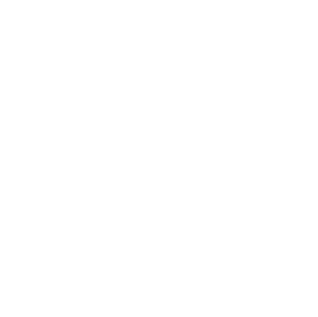AppsFlyer logo